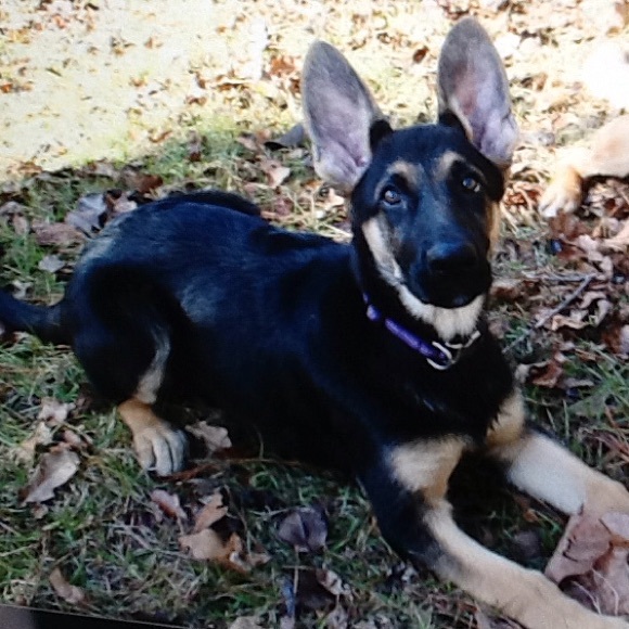 Meet your Posher, Kate - Picture 2 of 5